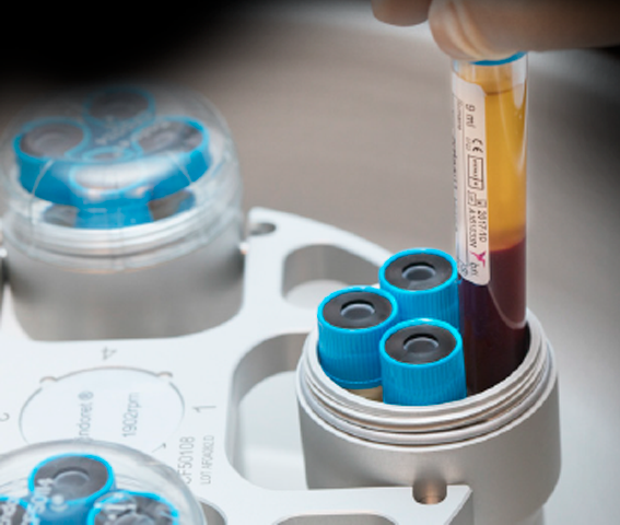 Blutentnahmekurs in Hamburg