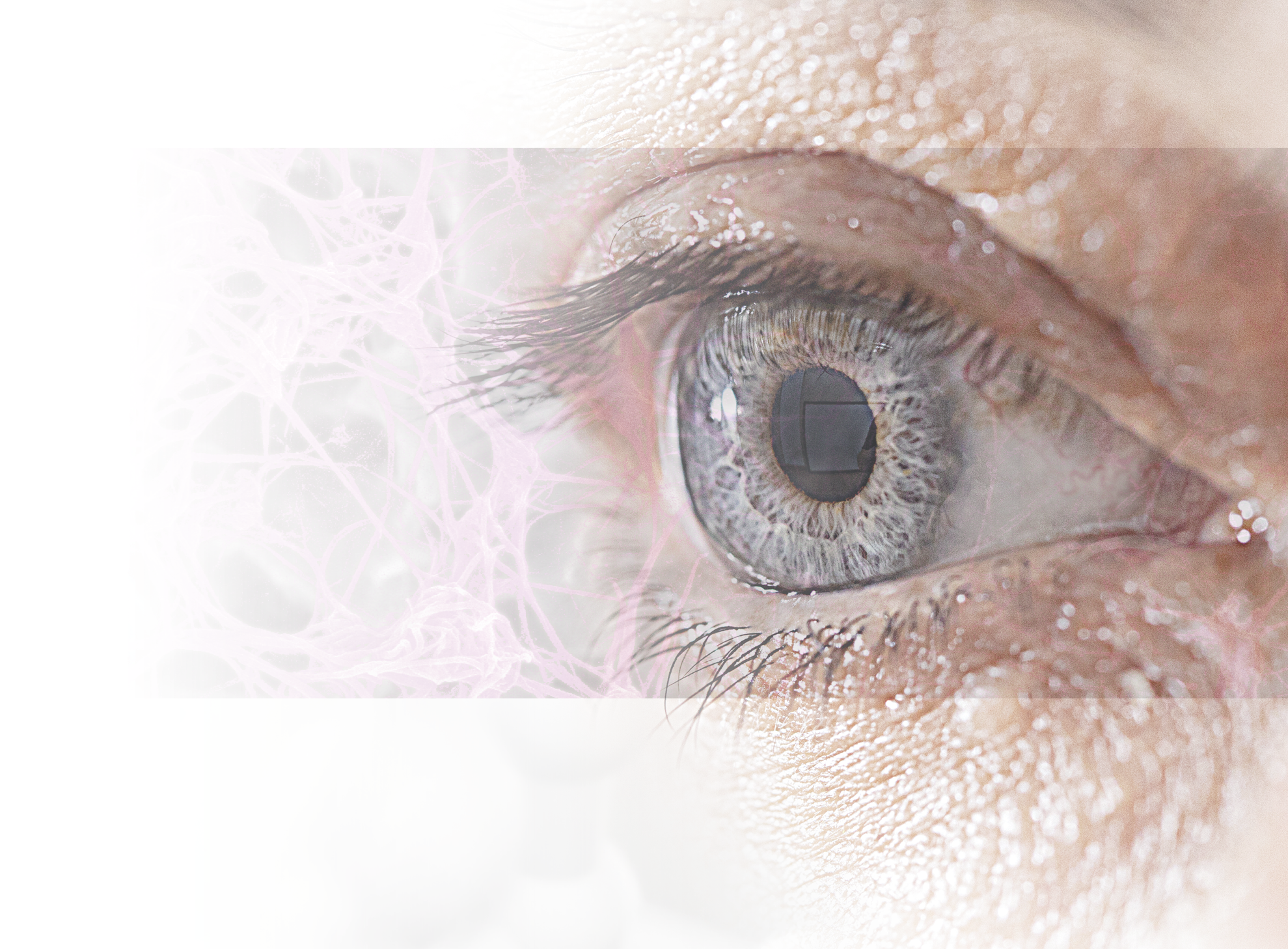 The Effect of Immunologically Safe Plasma Rich in Growth Factor Eye Drops in Patients with Sjögren Syndrome