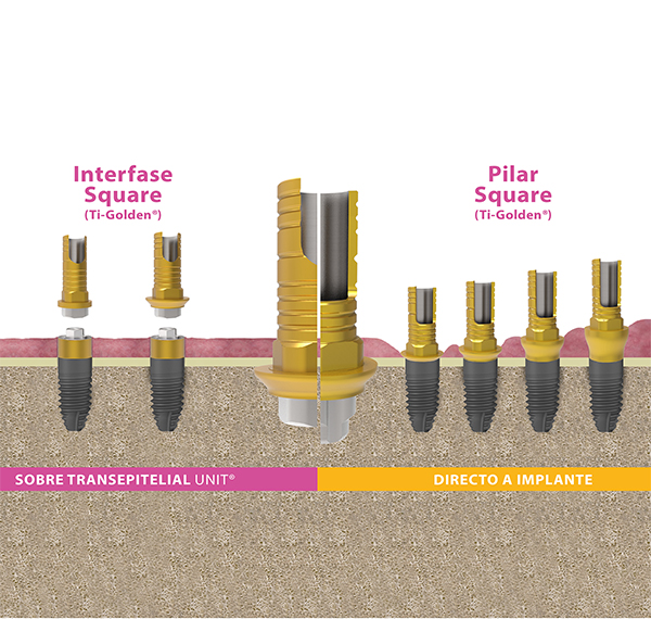 pilares dentales square bti